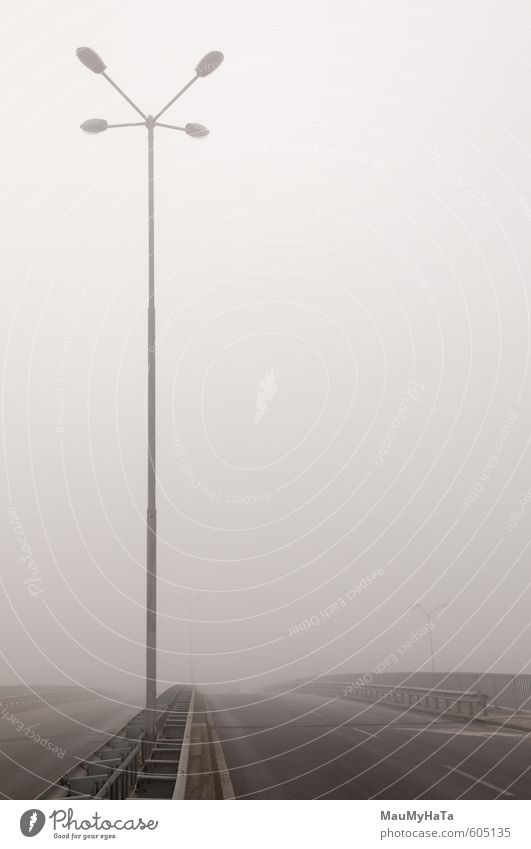 Nebel in der Straße Verkehr Öffentlicher Personennahverkehr Straßenverkehr Autofahren Wegkreuzung Brücke Ampel wählen Bewegung laufen Reinigen Blick Farbfoto