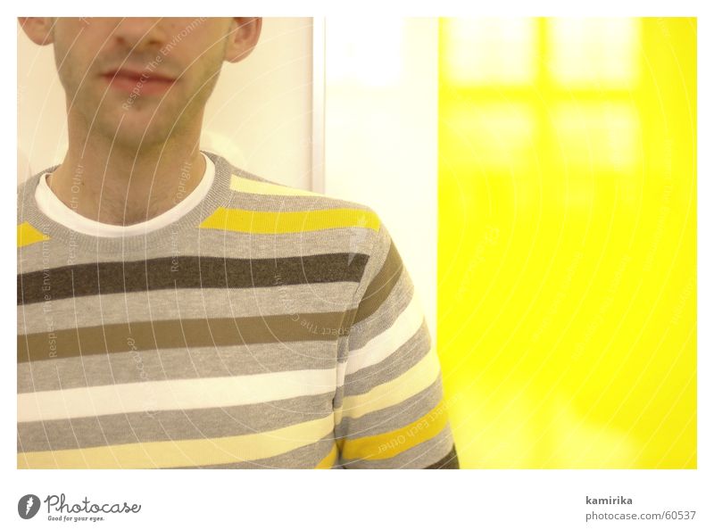 gelbsucht #2 Pullover Reflexion & Spiegelung Streifen Polyester sweatshirt Bild picture Baumwolle