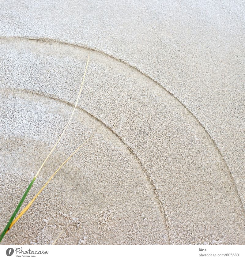Dünen-Gras-Sand-Uhr Umwelt Natur Landschaft Pflanze Erde Winter Eis Frost Küste Ostsee Insel ästhetisch braun Ewigkeit Vergänglichkeit Zeit kreisen Kreis Furche