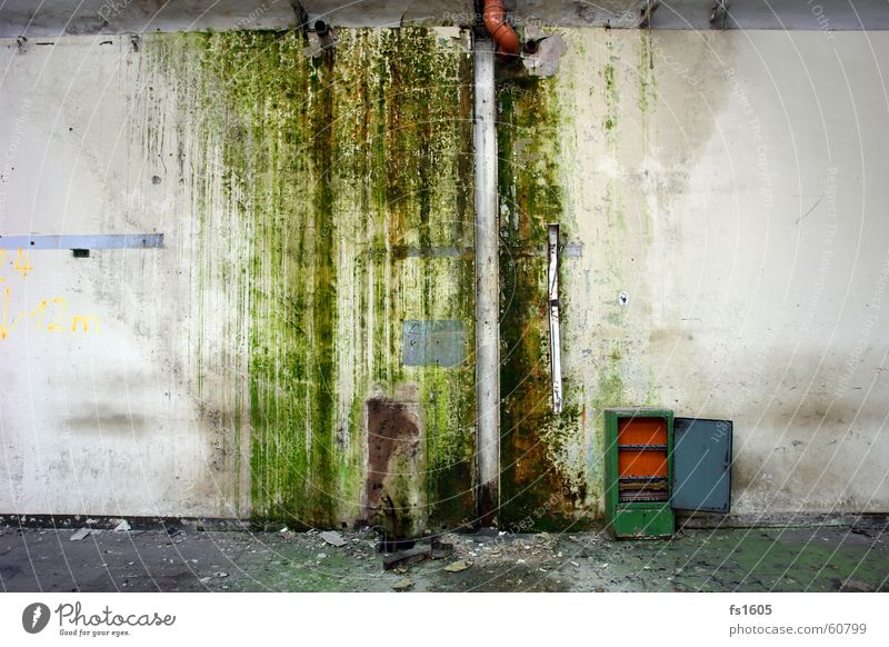 Industrial Trash grün Wand Müll Regenrinne Algen feucht dreckig Wasser Industriefotografie