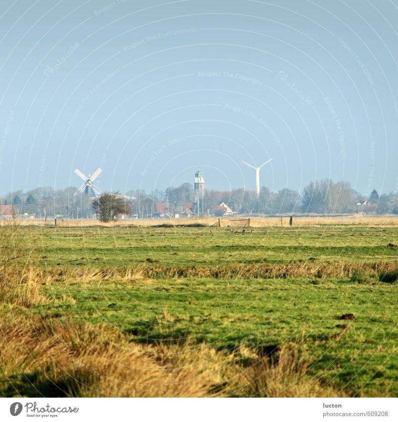 Ostfriesland Landwirtschaft Forstwirtschaft Windkraftanlage Umwelt Natur Landschaft Himmel Sonne Winter Schönes Wetter Gras Wiese Feld Nordsee Schwemmland Dorf