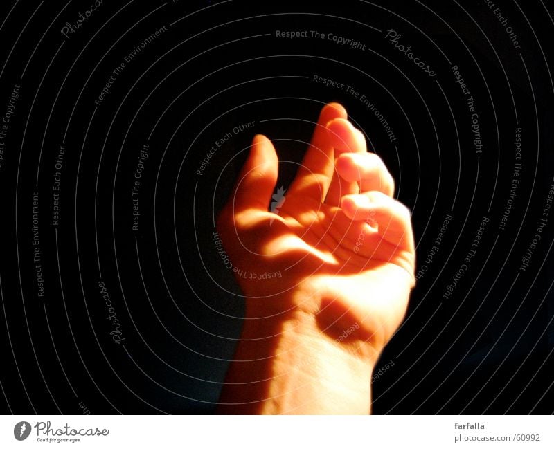 Geigengriff Hand Griff Finger Licht Musik geigengriff bereit zum spielen Kontrast Schatten
