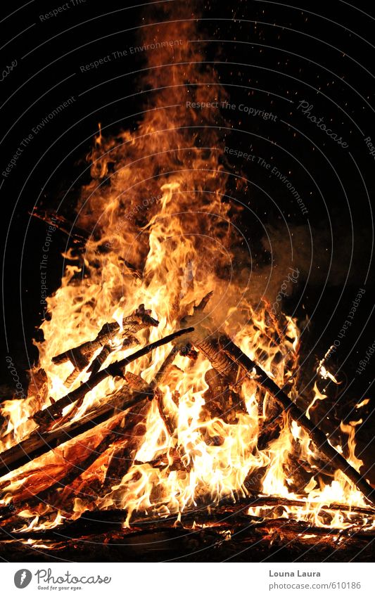 Hohe Flammen Urelemente Feuer Herbst Kraft Mut Aggression Farbfoto Außenaufnahme Menschenleer Nacht Lichterscheinung