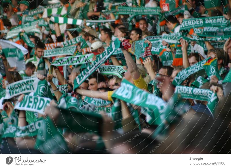 fankurve Bremen Fan Schal Gefühle grün weiß Werder Havel Freude