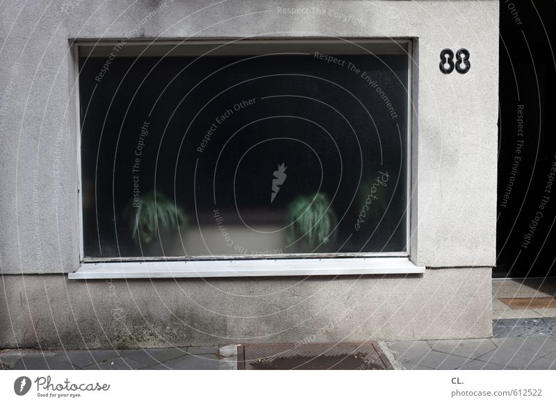 88 Haus Mauer Wand Fenster verblüht Häusliches Leben hässlich trist Stadt Langeweile Traurigkeit Fernweh Einsamkeit Misserfolg stagnierend Vergänglichkeit
