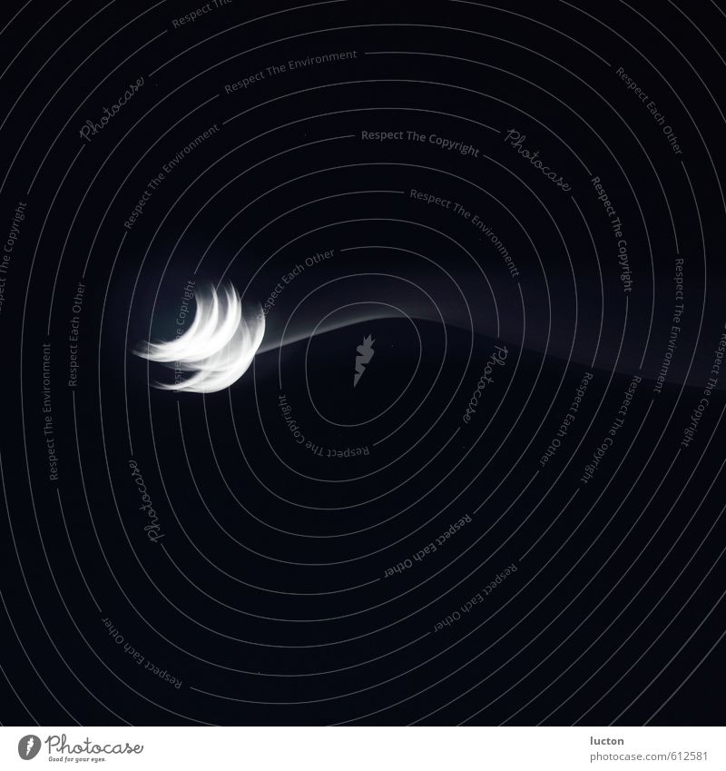 Mond mit Doppelbelichtung vor schwarzen Nachthimmel Wissenschaften Natur Himmel beobachten blau weiß Bewegung Astronomie Himmelsbeobachtung Sichelmond Schweif