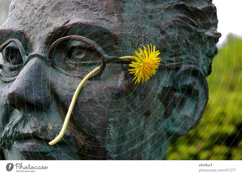 Dr. Löwenzahn Büste Bronze Brille Mann Oberlippenbart Blume gelb Pflanze Außenaufnahme Porträt bewegungslos kalt Kopf kurarzt Metall Gesicht Ohr Natur kurzone