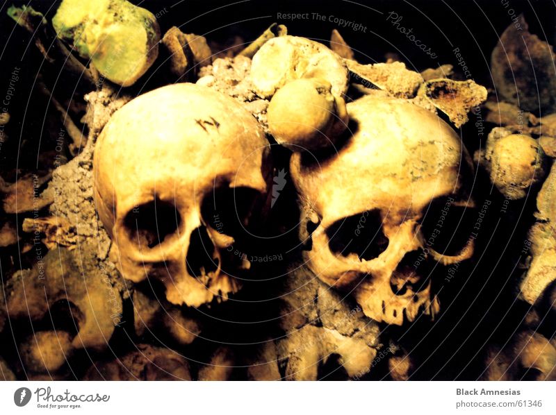 Memento Mori 2 Skelett Grabkammer Macht Paris Katakomben Eingang Schädel groß abschreckend reich der toten