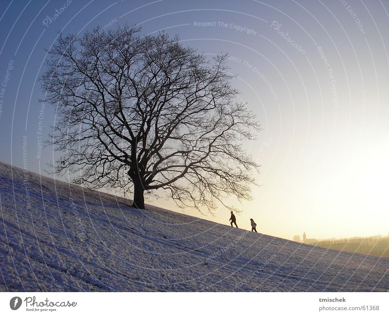 I´ll be there! Winter Olympiapark München Himmel tree baume couple snow Schnee sun Sonne munich sky himme