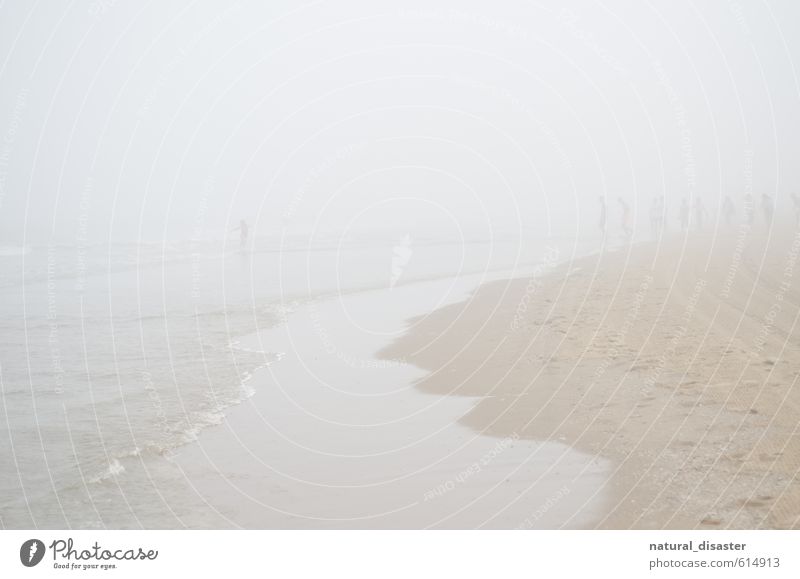 Menschen am Meer im Nebel. Ausflug Abenteuer Ferne Strand Menschengruppe Küste Schwimmen & Baden laufen rennen sportlich verrückt braun weiß Freude Tapferkeit