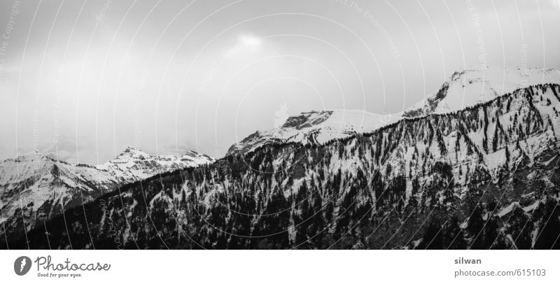 Berner Himalaya Wellness Berge u. Gebirge Landschaft Wolken Winter schlechtes Wetter Wind Nebel Schnee Baum Wald Felsen Alpen Schneebedeckte Gipfel ästhetisch