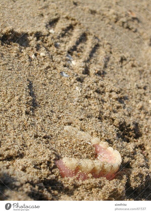 Das knirscht! Strand Meer verlieren Trauer Suche vermissen Außenaufnahme alt Sand Nahaufnahme Abdruck Zähne Scharfer Gegenstand