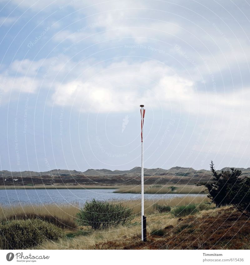 Flagge zeigen! Ferien & Urlaub & Reisen Natur Landschaft Wasser Himmel Wolken Schönes Wetter Gras Sträucher Nordsee See Dänemark Fahne Fahnenmast Sand hängen