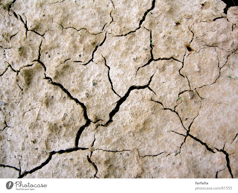 Trockenheit Dürre trocken unentschlossen braun Erde Bodenbelag Teilung