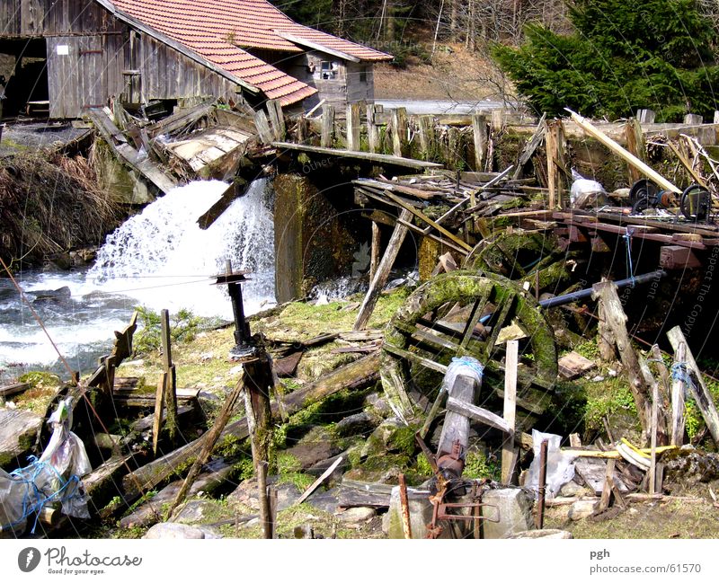 Schneekatastrophe im Bay. Wald Desaster Bayerischer Wald Sturz Einbruch Holz Schneeschmelze Wasserfall Brücke Museum schneekatastrophe Fluss
