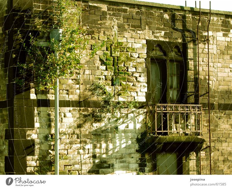 Regenrohr mit Gesicht Fenster Balkon historisch Idylle einrichten Haus Schatten Natur feucht grün aufmachen schließen geschlossen urinieren baufällig Gebäude