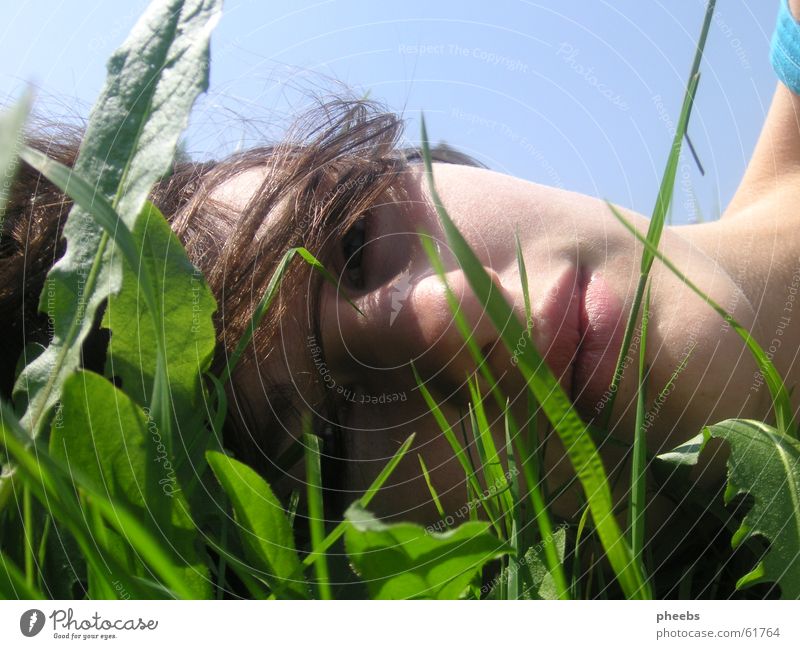 gras vorm gesicht Porträt Wiese Gras Halm Blatt Sommer Mädchen Frau Lippen Licht grün Gesicht Himmel Rasen liegen Haare & Frisuren blau frei Freiheit Natur