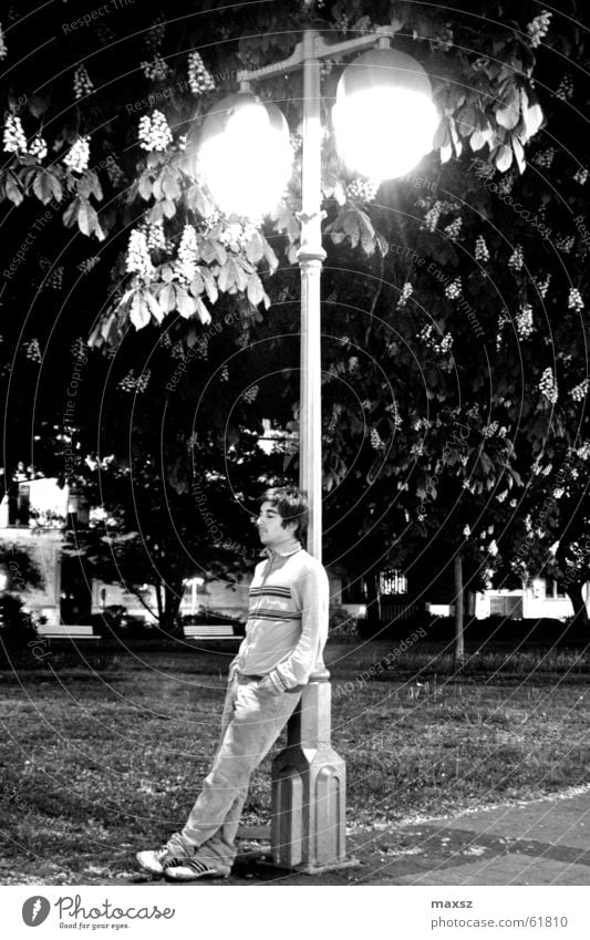 Lonely Stranger Einsamkeit fremd Laterne Baum Blüte schwarz weiß Hannover Bürgersteig lonely strange stranger street lights black and white opernplatz