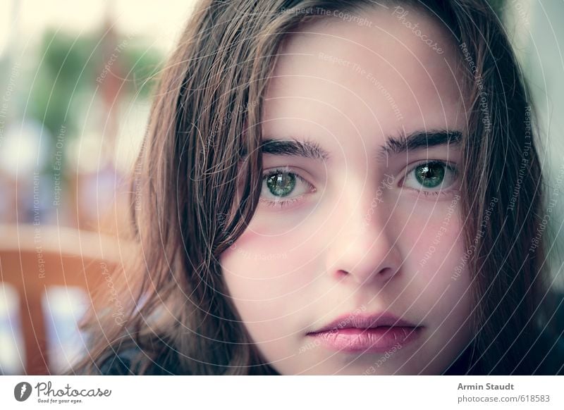 Porträt Stil schön Mensch feminin Frau Erwachsene Jugendliche Kopf 1 13-18 Jahre Kind brünett beobachten sitzen ästhetisch nah Stimmung selbstbewußt neutral