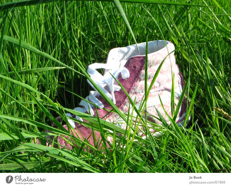 Chucks Schuhe Gras grün Sommer verloren rosa Schuhbänder grass shoe Fuß feet foot lost mädchenschuh