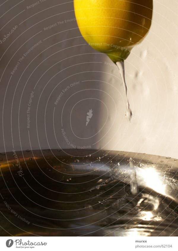 Zitrone Experiment Wasser Wassertropfen Sonne silber hell