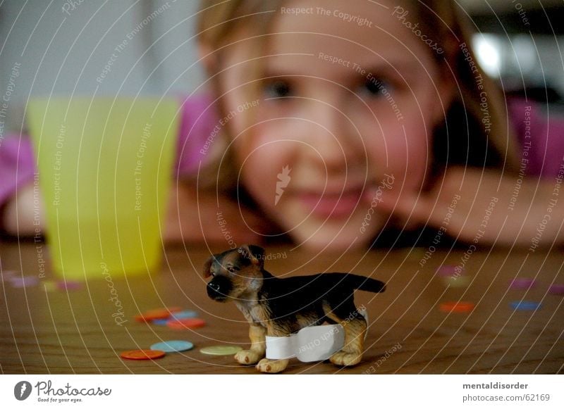 Unschärfe und ... Kind Mädchen Hund Spielen Spielzeug Tisch Konfetti Holz Finger Hand stehen Becher Fell Dinge Blick Tier Pfote Holzmehl Aussicht Gesicht Ohr