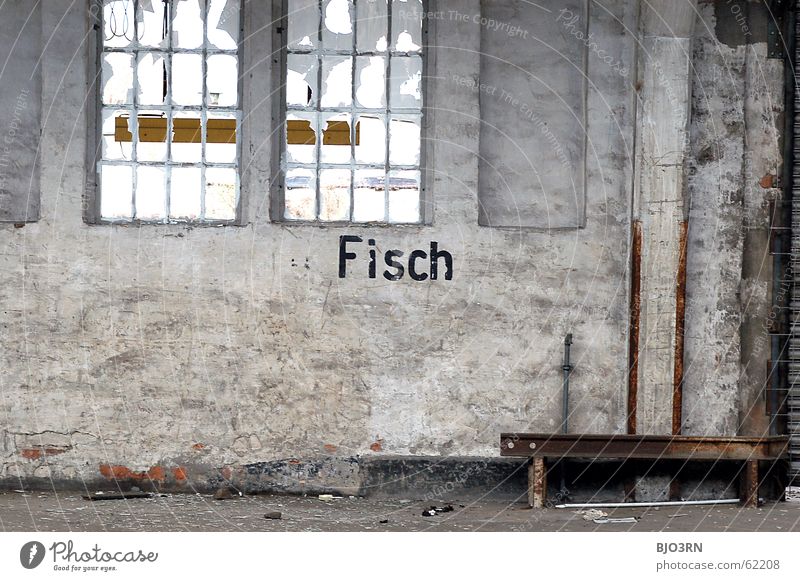 Hauptsache Fisch Wort Buchstaben schwarz Meeresfrüchte Fenster verfallen Scherbe kaputt Einsamkeit leer gesplittert weiß Wand Mauer dreckig Schrott horizontal