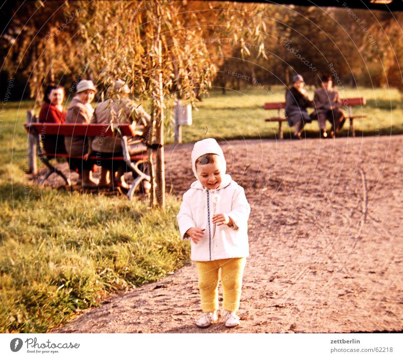 Ganz früher III Kind Kleinkind Löwenzahn Senior Parkbank Sechziger Jahre Junge altes foto