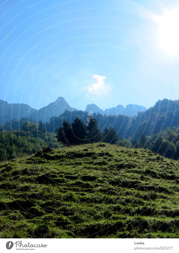 Bergwelten 2 Natur Landschaft Pflanze Erde Himmel Sonne Sommer Schönes Wetter Baum Gras Wiese Alpen Berge u. Gebirge Gipfel blau grün Ferne Intimität Farbfoto