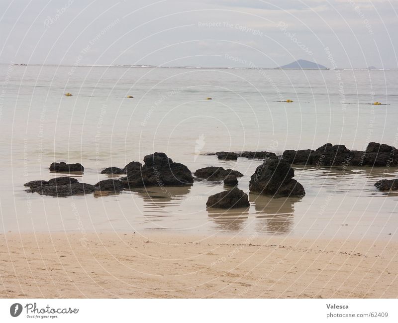 Strand Mauritius Meer Ferien & Urlaub & Reisen Stein Wasser