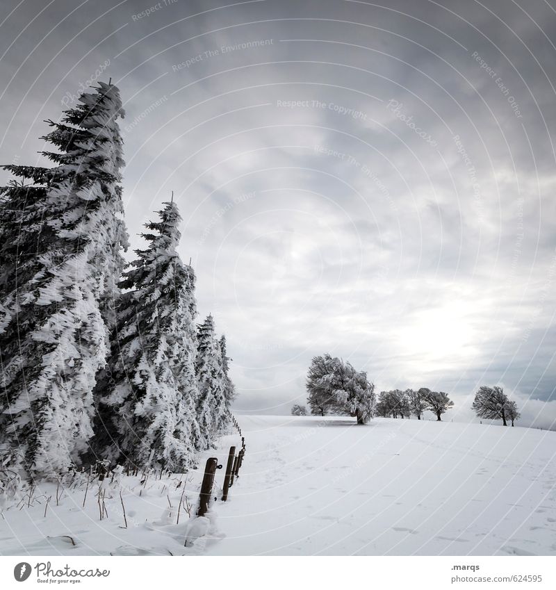 Strömungswiderstandskoeffizient Abenteuer Winter Schnee Natur Landschaft Himmel Wolken Sonne Wetter kalt Stimmung Perspektive Gegenteil Farbfoto Gedeckte Farben