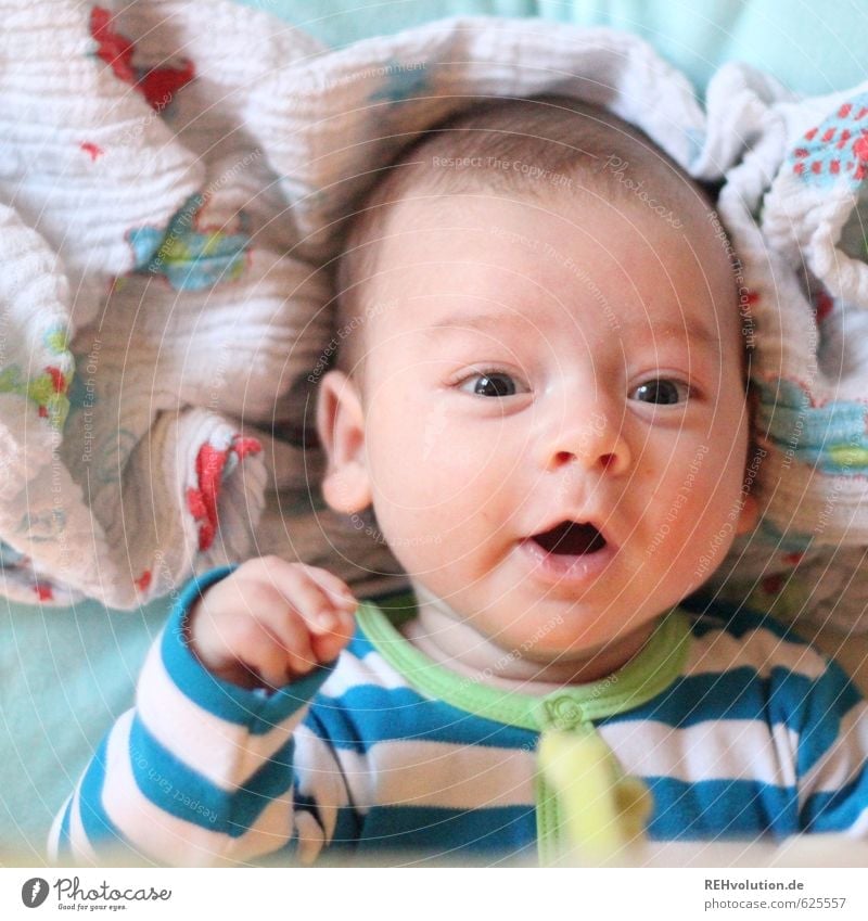 Baby guckt in die Kamera Kopf Mund 1 Mensch 0-12 Monate liegen sprechen Fröhlichkeit klein Kind schön strampeln lustig Farbfoto Innenaufnahme Tag Porträt