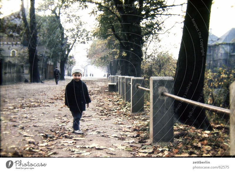 Ganz früher IV Kind Herbst Blatt Kleinstadt Sonntag Sechziger Jahre Junge Geländer Spaziergang altes foto