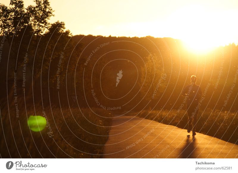 Jogging til Sunset Jogger Sport Sommer Sonnenuntergang Mann Gegenlicht Lichtfleck Joggen Physik Baum Wiese Insekt Einsamkeit Trauer Außenaufnahme Landschaft