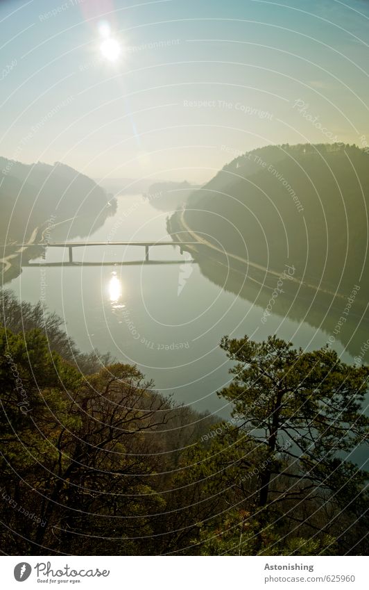 die Donaubrücke Umwelt Natur Landschaft Pflanze Luft Wasser Himmel Wolkenloser Himmel Horizont Sonne Sonnenaufgang Sonnenuntergang Sonnenlicht Herbst Wetter