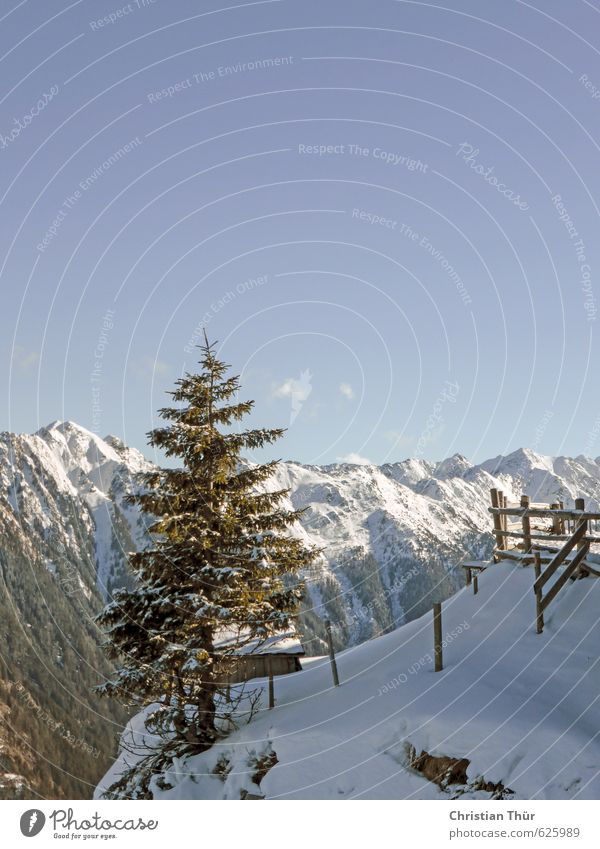 Winter auf der Reiteralm / Schladming Gesundheit Schnee Winterurlaub Umwelt Natur Landschaft Wolkenloser Himmel Schönes Wetter Baum Alpen Berge u. Gebirge