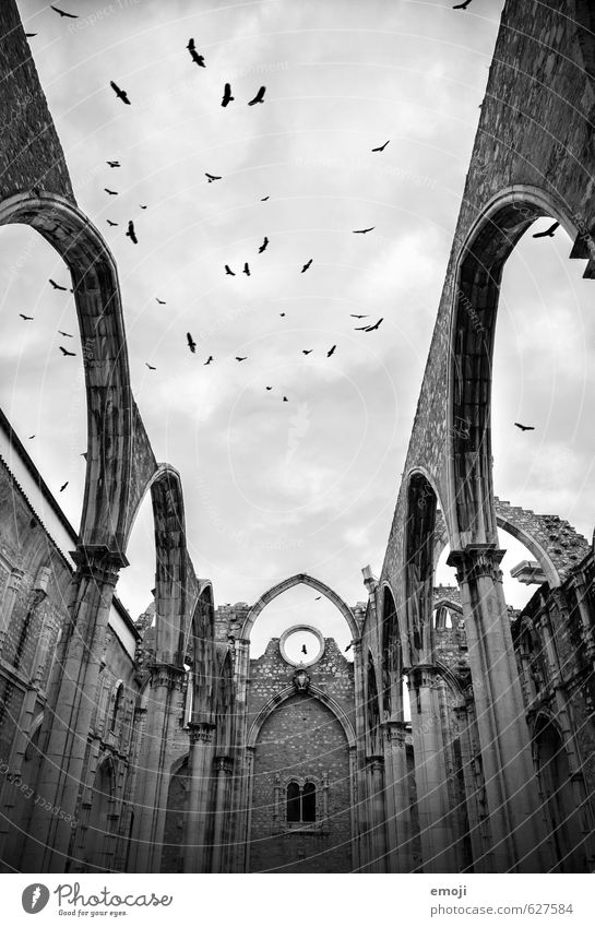 Haus Gottes Himmel Menschenleer Kirche Ruine Bauwerk Gebäude Sehenswürdigkeit Tier Vogel Schwarm außergewöhnlich bedrohlich dunkel grau Kinofilm Schwarzweißfoto