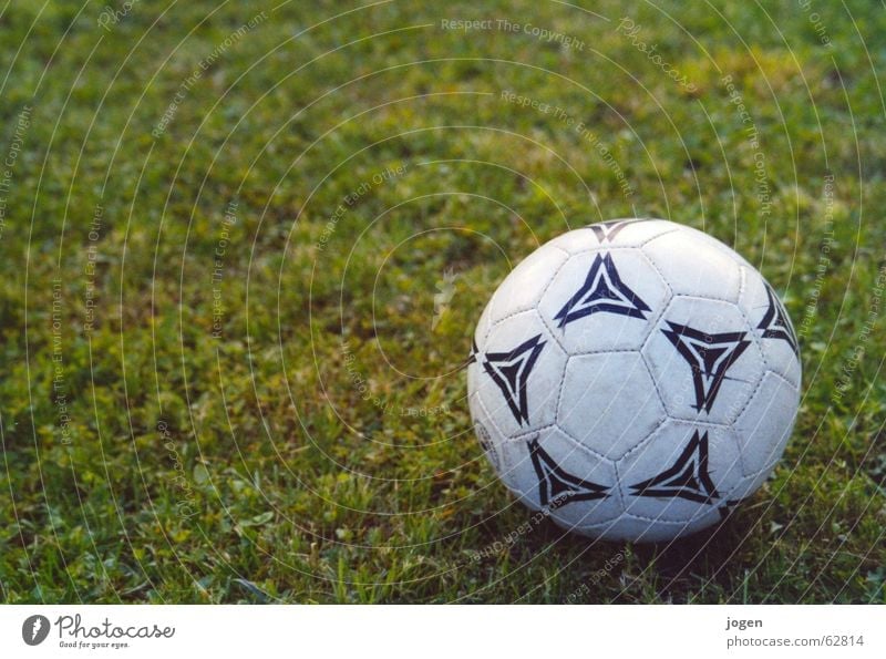 Der Ball ist rund... Wiese grün weiß Stadion Bundesliga Torwart Stürmer Rasen Fankurve Weltmeister Gras UEFA Cup Pokal Saison Freude Sport Spielen