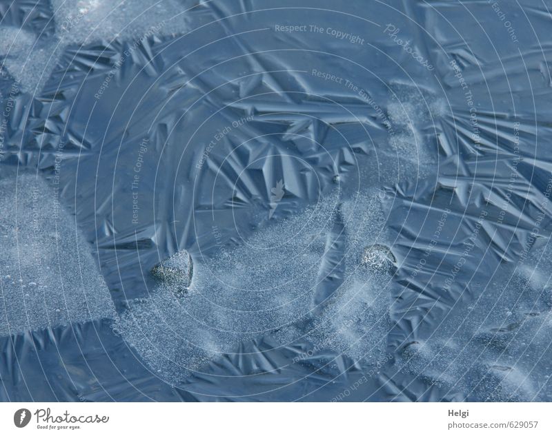 brüchig... Umwelt Natur Winter Eis Frost Teich frieren ästhetisch authentisch außergewöhnlich einfach kalt natürlich blau grau achtsam ruhig gefährlich bizarr