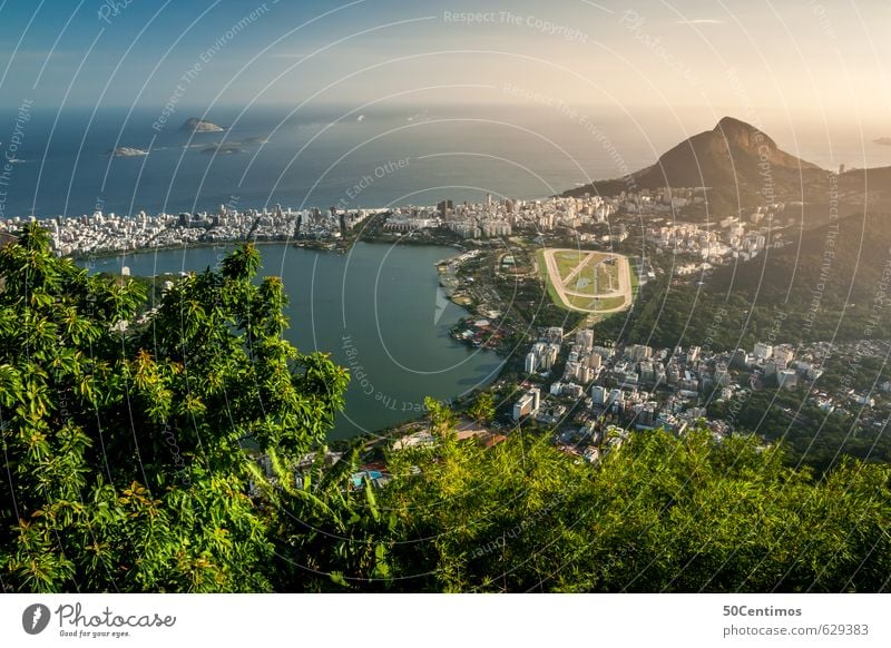 Aussicht über Rio de Janeiro Ferien & Urlaub & Reisen Tourismus Ausflug Ferne Freiheit Sightseeing Städtereise Kreuzfahrt Sommer Sommerurlaub Sonne Strand Meer
