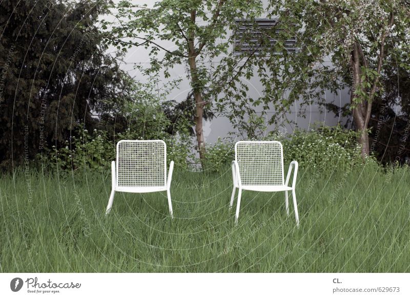 zwei stühle, keine meinung Häusliches Leben Garten Stuhl Umwelt Natur Landschaft Frühling Sommer Baum Gras Sträucher Park Wiese sitzen warten Freundschaft