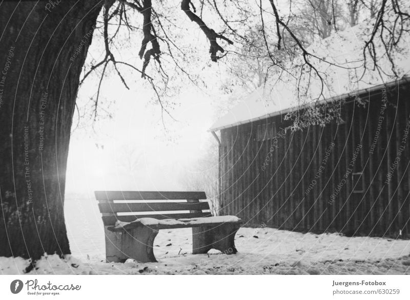 Sitzplatz Natur Winter Schnee Baum Feld Menschenleer Hütte Beton Holz frieren wandern warten authentisch hell kalt schwarz weiß demütig Traurigkeit Trauer