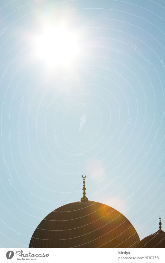 Moschee Wolkenloser Himmel Sonne Sonnenlicht Schönes Wetter Architektur Dach Kuppeldach Zeichen arabischer Halbmond leuchten ästhetisch exotisch heiß hell blau