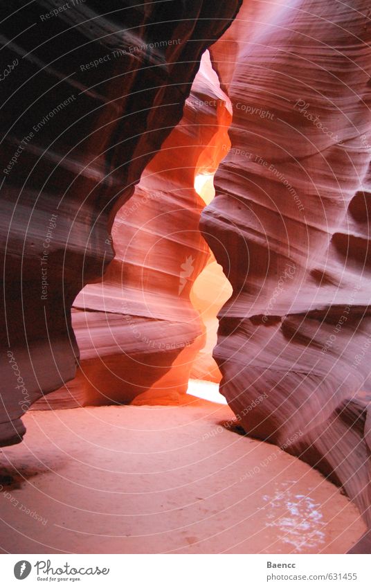 Antelope Canyon Ferien & Urlaub & Reisen Tourismus Ausflug Kultur Natur Sand Schlucht Sehenswürdigkeit Stein Blick Wärme braun gold orange Begeisterung ruhig
