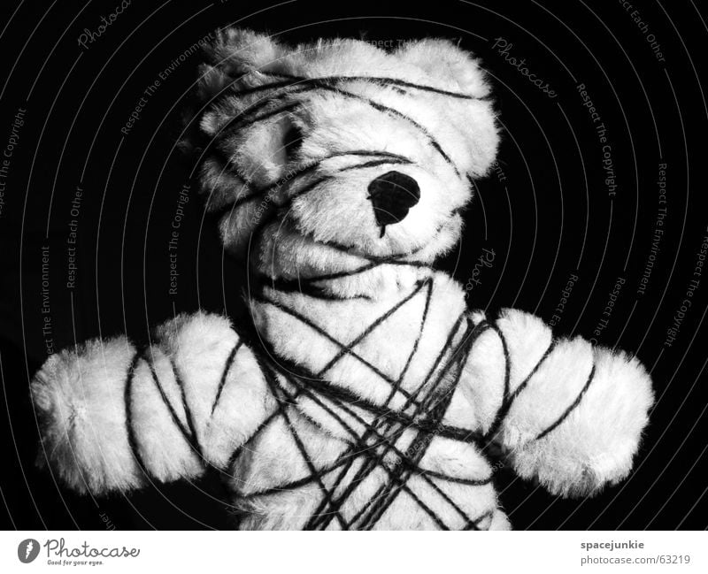 Bondage Teddybär Bayern Fetischismus gefangen gefesselt Schnur eingeengt schwarz weiß Bär bdsm Handschellen Einschränkung rollbraten