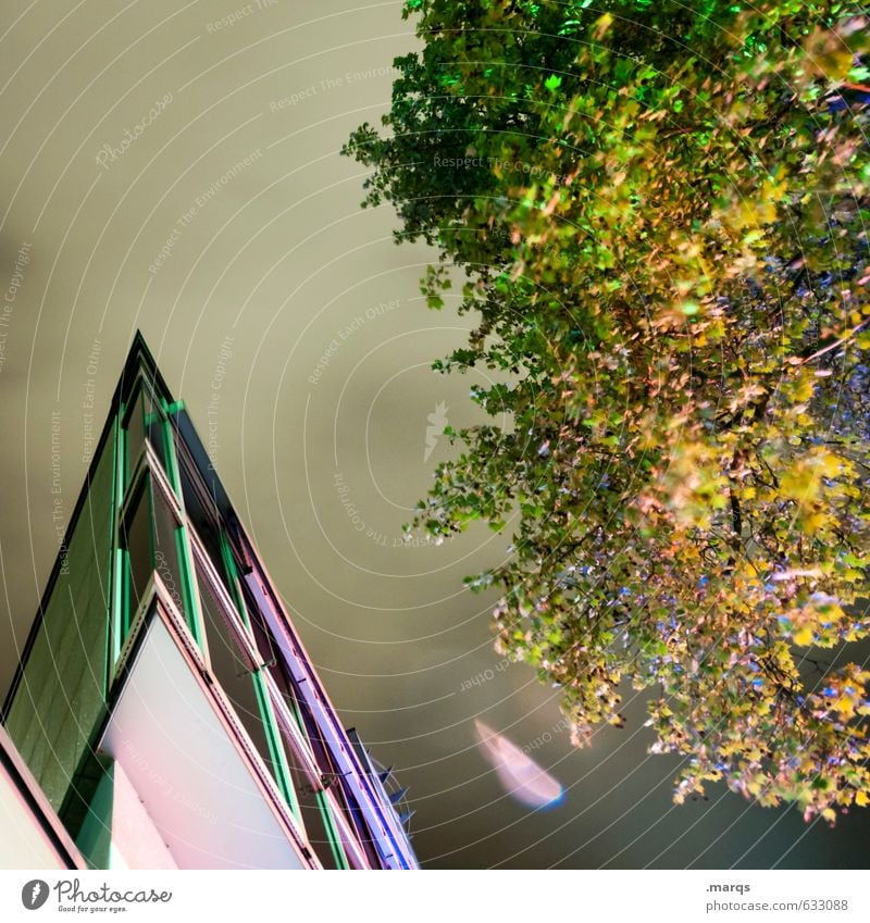 Stürmisch Stil Umwelt Natur Wolken Nachthimmel Sommer Klima Unwetter Wind Baum Bauwerk Gebäude Architektur außergewöhnlich eckig trendy modern Stimmung bizarr