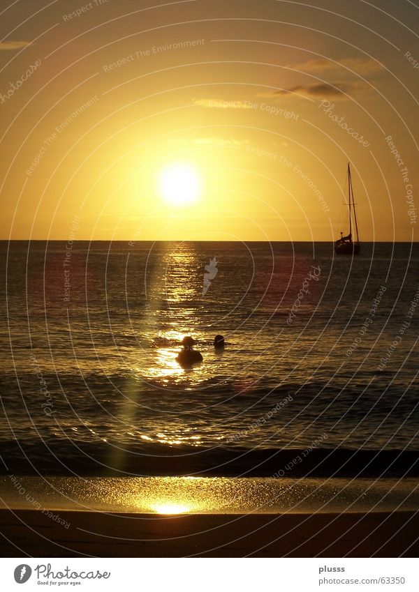 Erleuchtung Erkenntnis Sonnenuntergang Sonnenaufgang Licht Meer See Strand Reflexion & Spiegelung Beleuchtung Wasserfahrzeug Wolken Horizont Wellen gelb weiß