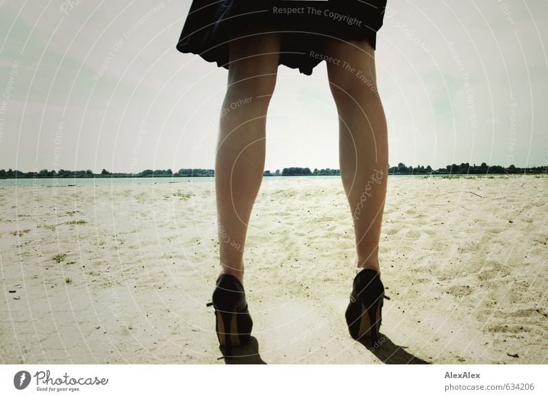 Auf geht's! Junge Frau Jugendliche Beine 18-30 Jahre Erwachsene Sand Wasser Wolkenloser Himmel Baum Flussufer Strand Horizont Kleid Damenschuhe beobachten Blick