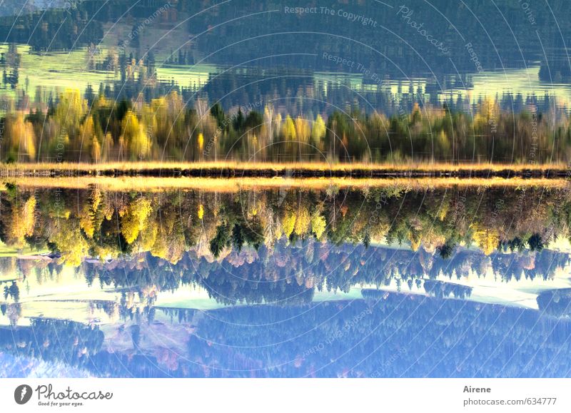doppelt seen Natur Landschaft Wasser Herbst Schönes Wetter Wald Alpen Berge u. Gebirge Seeufer Walchsee Bundesland Tirol Österreich mehrfarbig ruhig ästhetisch