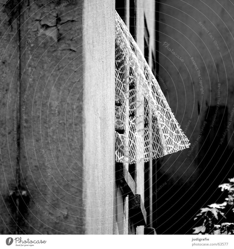 Heimtextilien Gardine Fenster Demontage Ruine Haus Gebäude grau Wohnung Einfamilienhaus trist Beton lüften schwarz weiß Mauer Putz kaputt Fensterbrett